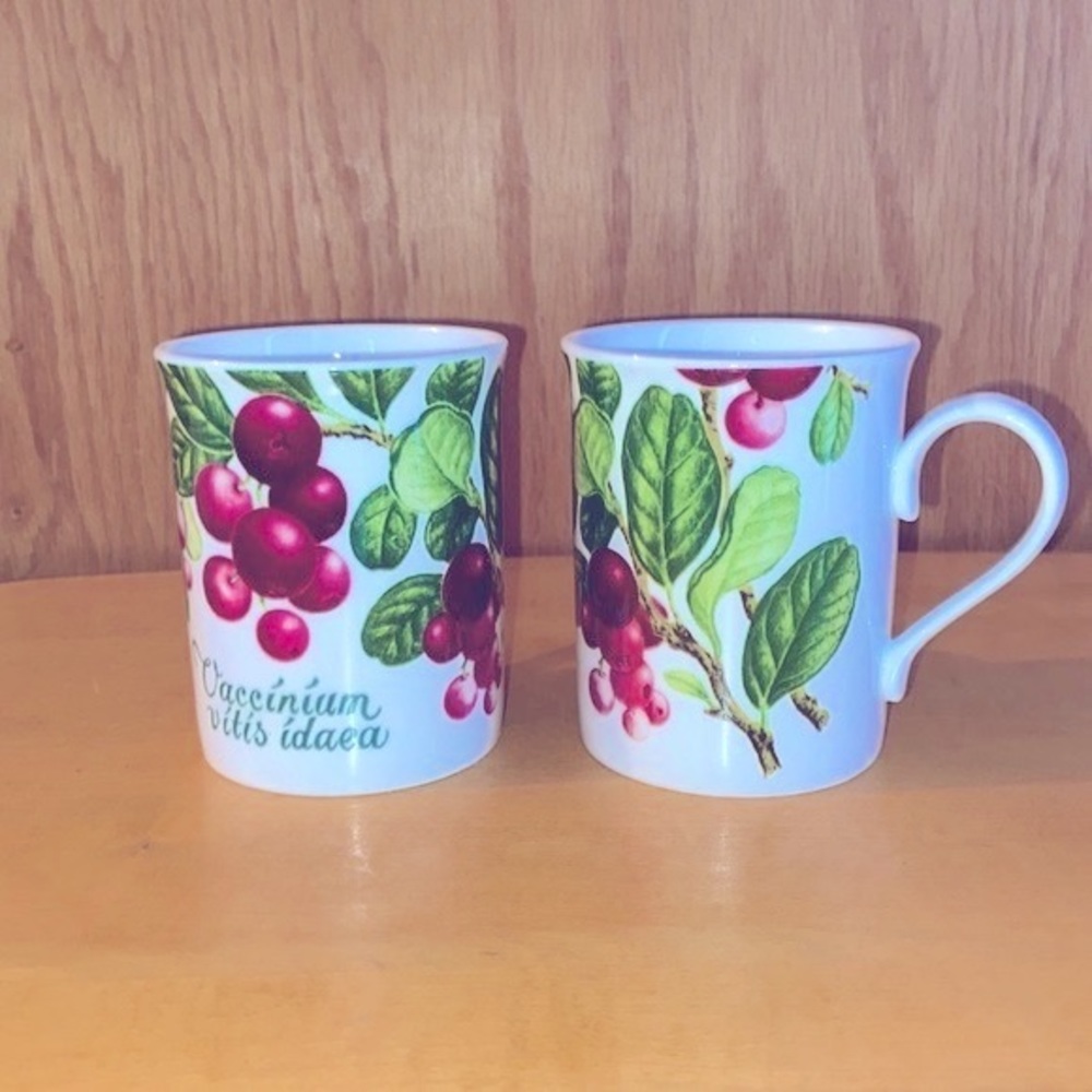 Vintage Royal Grafton 🍒 Summer Fruits Fine Bone China Mug Set of 2
